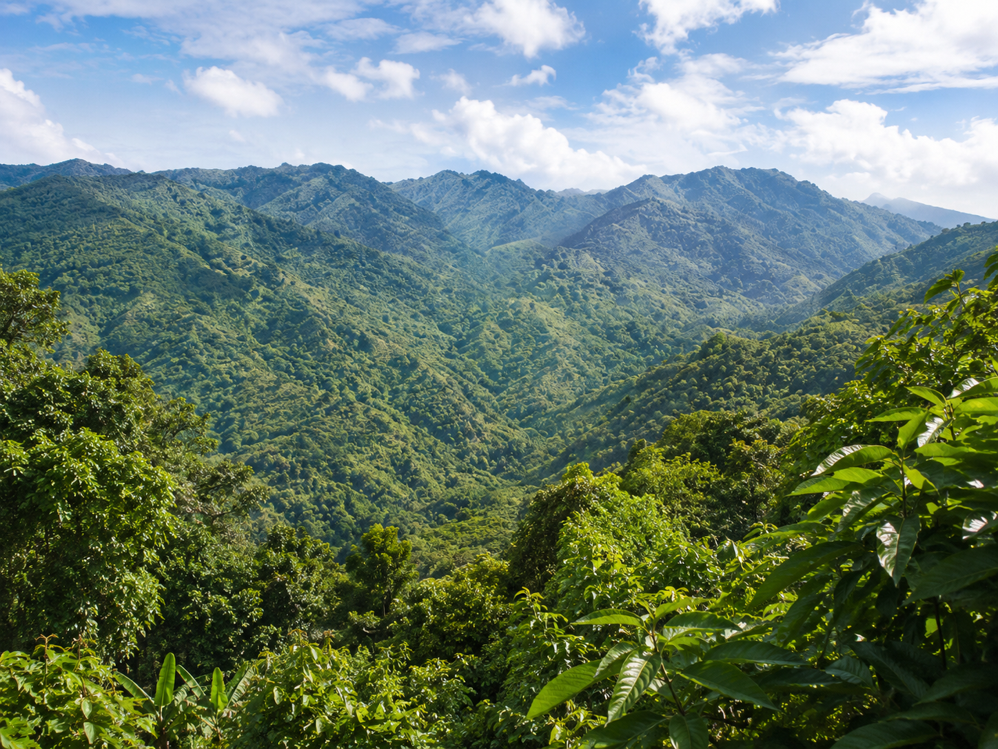 Spot On Tours - Blue Mountain and Falls Adventure Tour